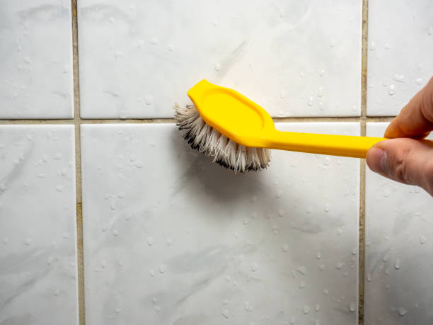 Best Post-Flood Mold Remediation in Paulding, OH
