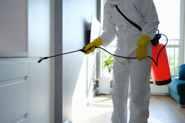 Best Industrial Mold Remediation in Paulding, OH